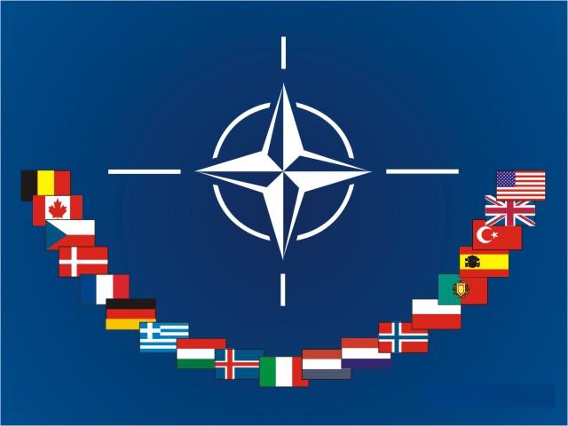 NATO Internship Programme - Call for Applications